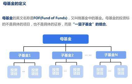 私募股权投资母基金资产配置策略解析
